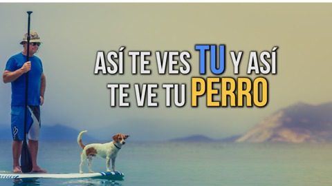 Así Te Ves Tu y Así Te Ve Tu Perro