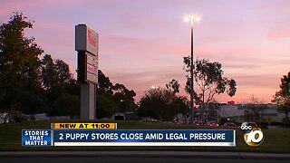 Two local puppy stores close amid legal pressure