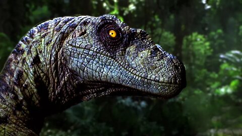 Top 10 Facts About Velociraptors You Didn't Know