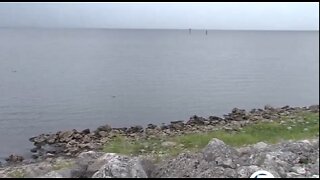 Concern over algae returning to Lake Okeechobee