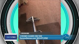 Don't Settle for Just Any Carpet Cleaner // Hire Zerorez