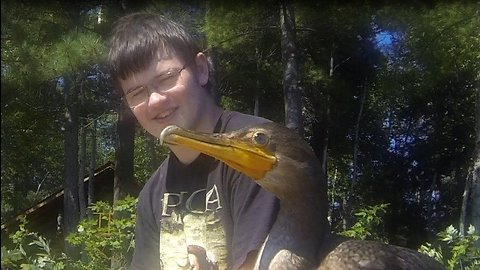 Young man rescues orphaned bird, touching friendship ensues