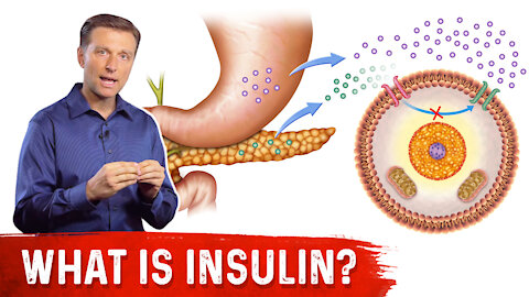 What Is Insulin? | Dr.Berg