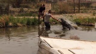 Spaventoso: perde quasi la mano per filmare un alligatore!