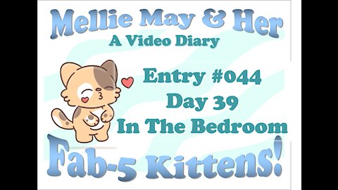Video Diary Entry 044: Bedroom Exploration! Born Free (Forgive My Singing) - Day 39