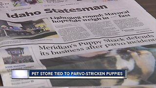 Pet store tied to parvo-stricken puppies