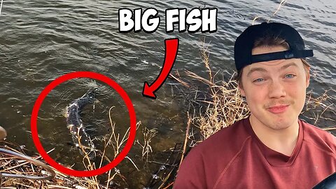 The Big Fish That Got Away