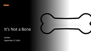 Its Not a Bone