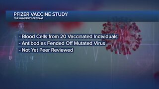 Pfizer-BioNTech vaccine just as effective against viral variant, study says