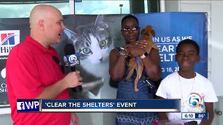 Clear The Shelters Event