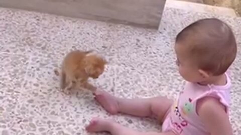 Precious Playtime Between Baby And Tiny Kitten