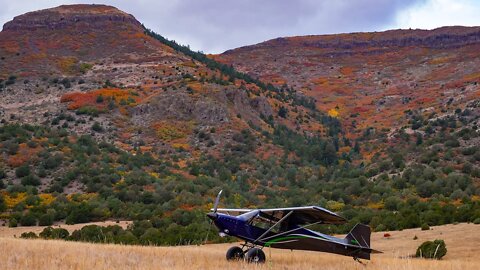 Searching for Colorado Fall Colors by airplane!