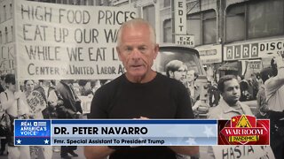 Dr. Navarro: ‘Taking Back Trump’s America Starts With Winning In November’