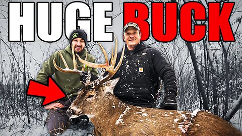 Huge Buck Recovered Under Snow