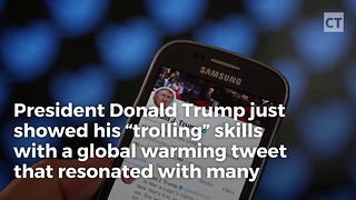 Trump Tweet Hits Global Warming Nuts Hard