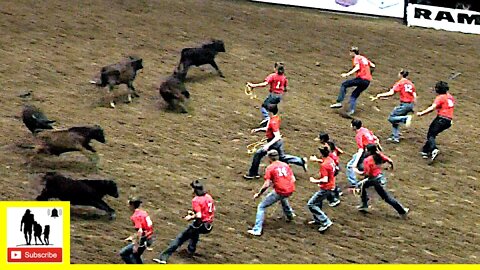 Calf Scramble 🐂 2022 San Angelo Rodeo | Saturday