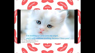 I'm waiting for your love my angel, I love you! [Quotes and Poems]