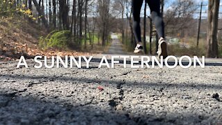 Skateboarding in April