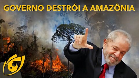 LULA bate RECORDE em QUEIMADAS NA AMAZÔNIA