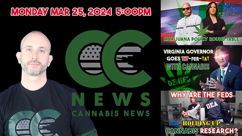 Cannabis News Update – VP Roundtable with Fat Joe, Weed Parental Abuse?, DEA Holding up Research