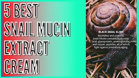 5 Best Snail Mucin Extract Cream | Products based on Black Snail Slime