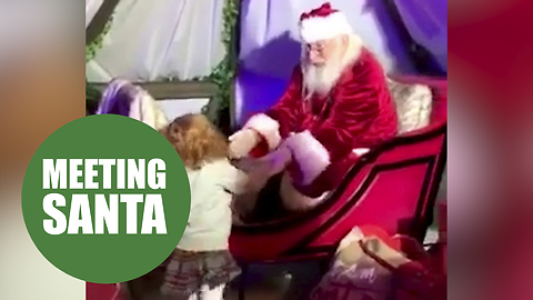 A little girl took her first steps unaided - to see Santa in his grotto