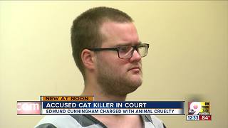 Police: Middletown man killed, froze nine cats and kittens