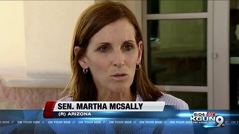 Sen. McSally talks immigration, gun control reform on Yuma border tour