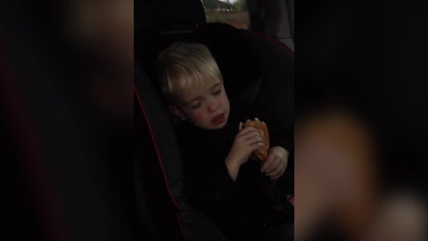 Tot Boy Falls Asleep While Eating A Hamburger