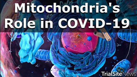 The Mitochondria's Role in COVID 19 | Interview