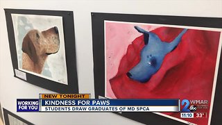 The art of the animal: students making a difference for MDSPCA