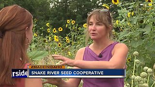 Made in Idaho: Snake River Seed Co-op