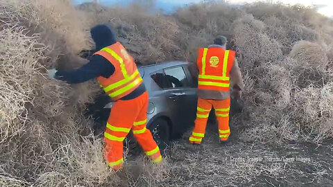 Vehicles Are Completely Trapped By Tumbleweed