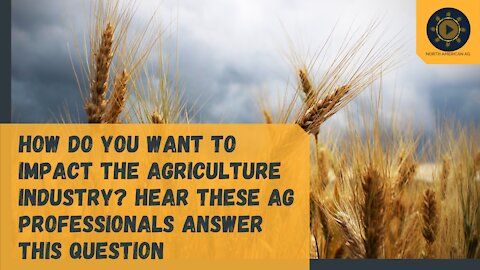 How do you want to impact the agriculture industry? Hear these ag professionals answer this question