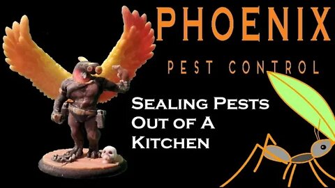 Sealing a Kitchen for Pests #whatbugsme | Phoenix Pest Control TN