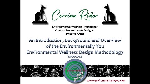 Background and Overview of the Environmentally You environmental wellness methodology