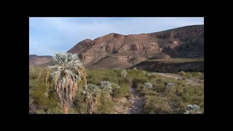 Baja California by Drone: Blue Palm Canyons