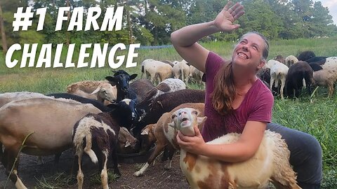 The Biggest Challenge On Our Farm