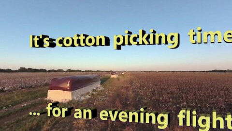 Cotton Picking Time for a Paramotor Flight