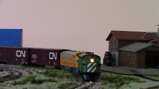 Long N Scale Train: 26 cars and 2 Locomotives