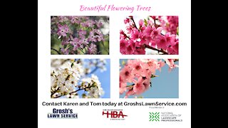 Flowering Trees Williamsport MD Landscaping Contractor