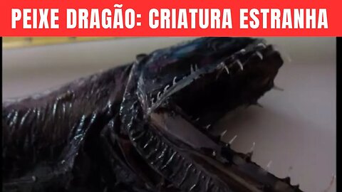 Peixe dragão a fascinante criatura das profundezas do oceano.