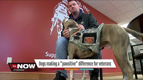 Making a "pawsitive" difference for combat veterans