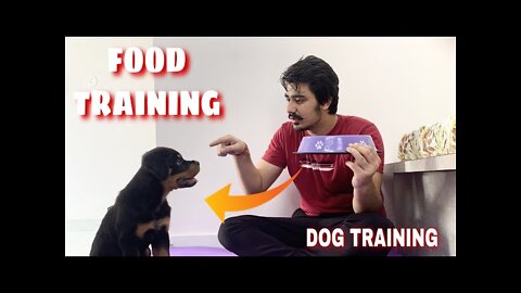HOW TO TRAIN YOUR PUPPY FOR FOOD