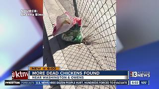 Even more dead chickens found in Las Vegas