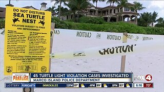 45 turtle light violations investigated in Marco Island