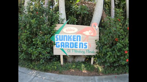 Sunken Gardens St. Petersburg FL.