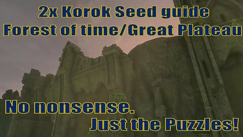 How to get 2x korok seed to partner - Forest of time/Great Plateau | Zelda TOTK