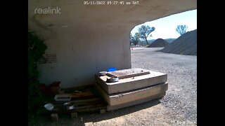 Magpie 05:11:09 26am