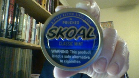 The Skoal Classic Mint Pouches Review